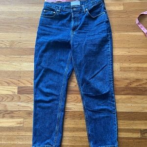 Everlane 90s Cheeky Jean, Ankle (29)